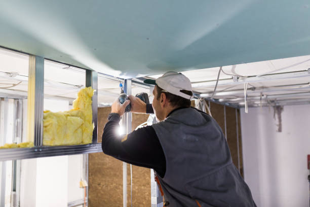 Best Attic Insulation Installation  in Hlcrest, IL