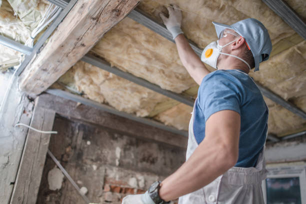 Best Insulation Replacement Services  in Hlcrest, IL