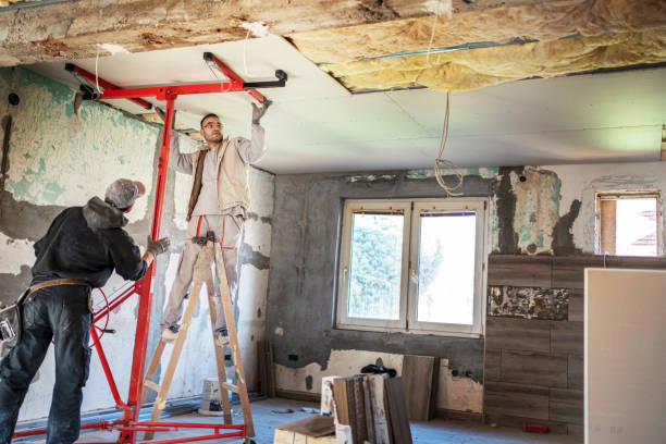 Trusted Hillcrest, IL Insulation Contractor Experts