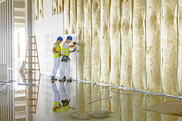 Best Cellulose Insulation  in Hlcrest, IL